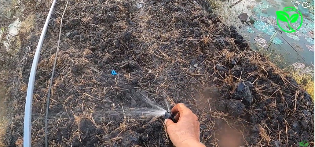 ve sinh bec tuoi thuong xuyen